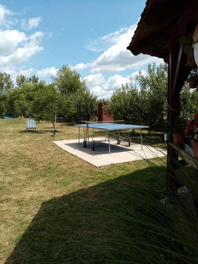 Pensiunea Oana Otel Balc Dış mekan fotoğraf