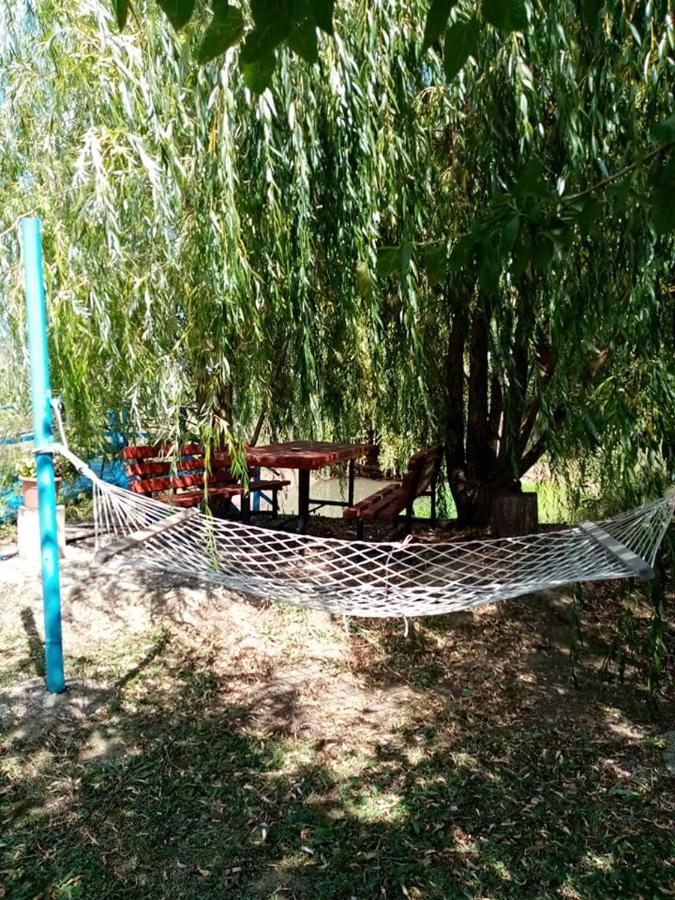 Pensiunea Oana Otel Balc Dış mekan fotoğraf