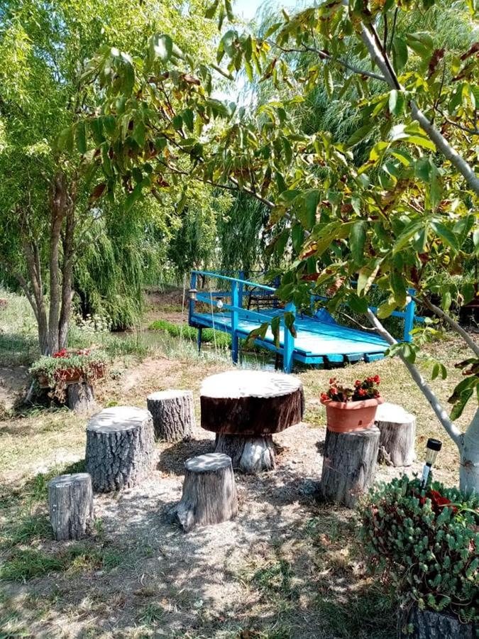 Pensiunea Oana Otel Balc Dış mekan fotoğraf