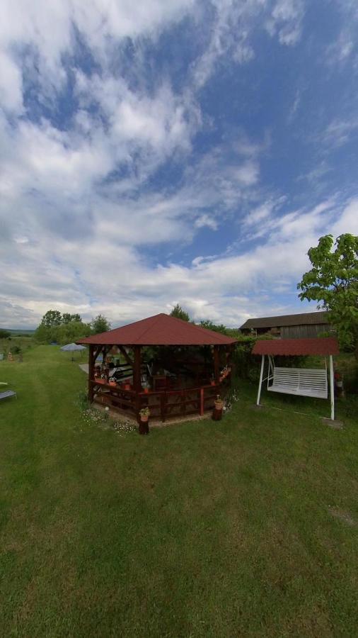Pensiunea Oana Otel Balc Dış mekan fotoğraf
