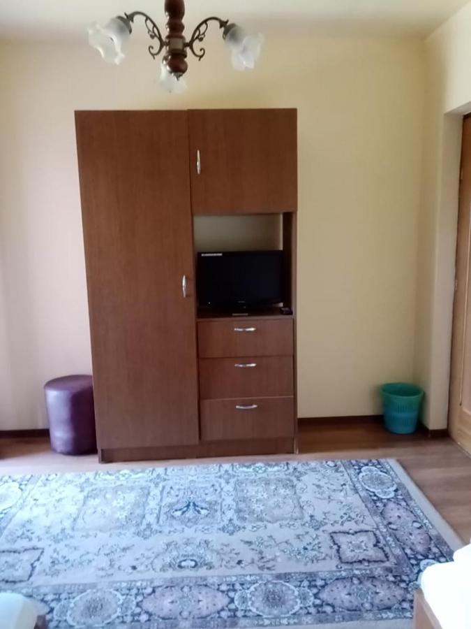 Pensiunea Oana Otel Balc Dış mekan fotoğraf