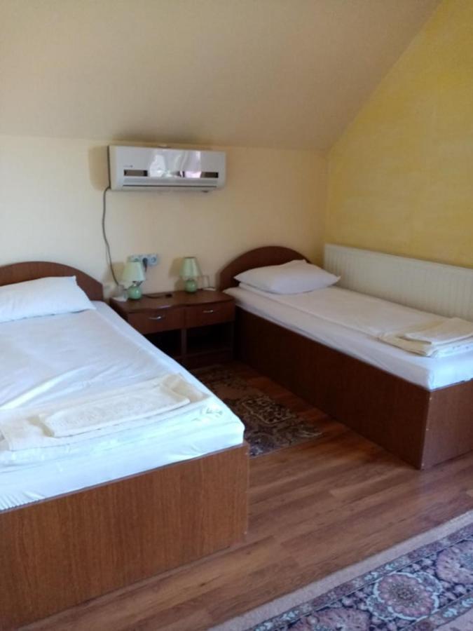 Pensiunea Oana Otel Balc Dış mekan fotoğraf