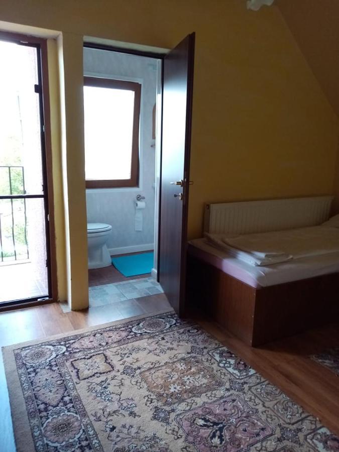 Pensiunea Oana Otel Balc Dış mekan fotoğraf
