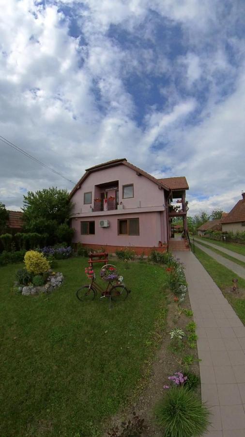 Pensiunea Oana Otel Balc Dış mekan fotoğraf