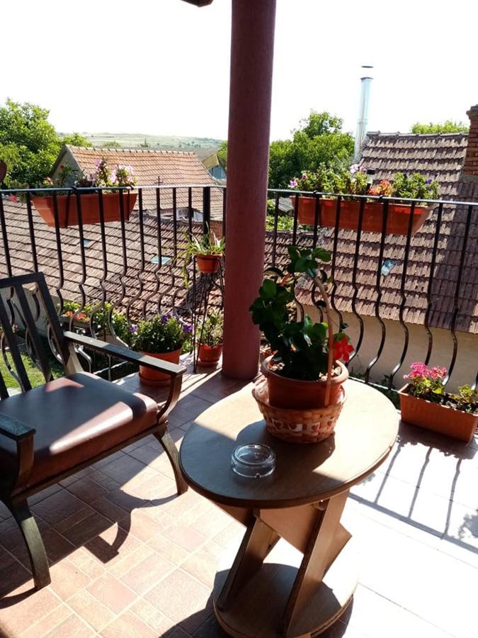 Pensiunea Oana Otel Balc Dış mekan fotoğraf