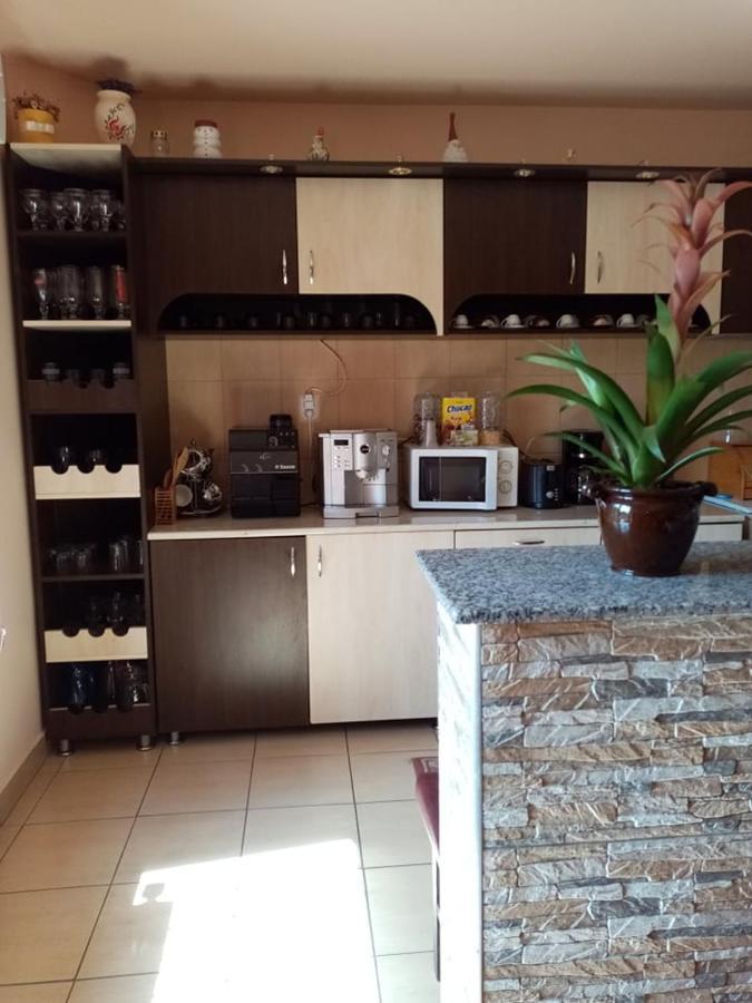 Pensiunea Oana Otel Balc Dış mekan fotoğraf