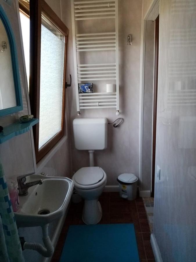 Pensiunea Oana Otel Balc Dış mekan fotoğraf