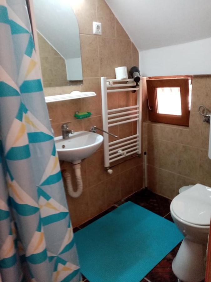 Pensiunea Oana Otel Balc Dış mekan fotoğraf