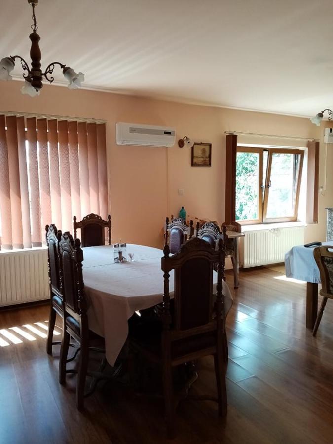 Pensiunea Oana Otel Balc Dış mekan fotoğraf