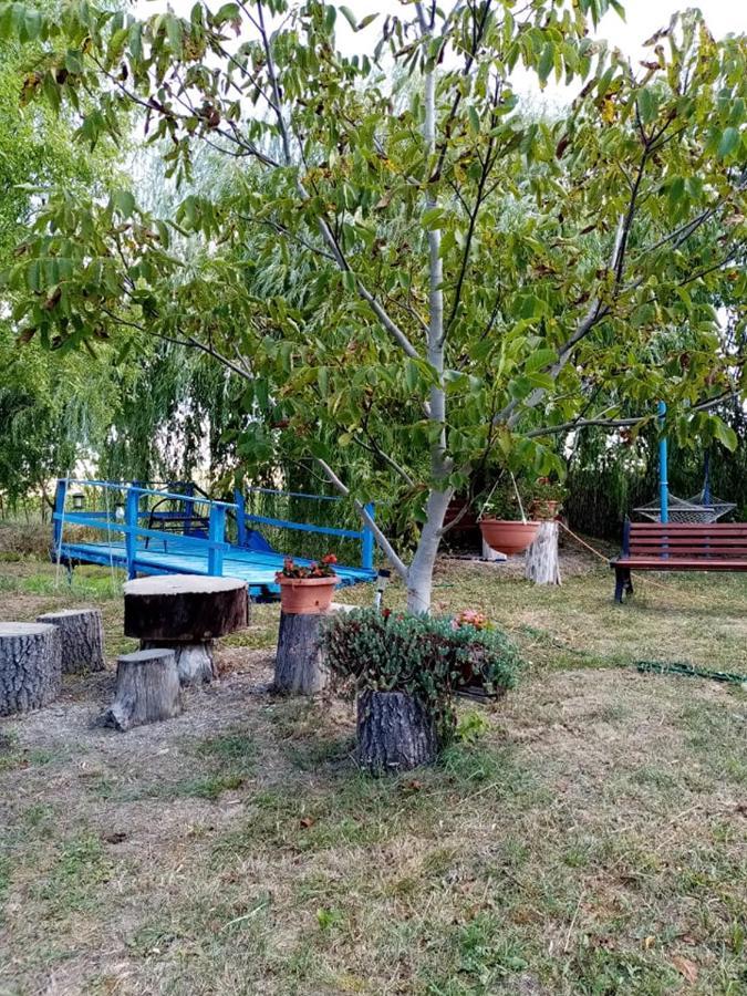 Pensiunea Oana Otel Balc Dış mekan fotoğraf