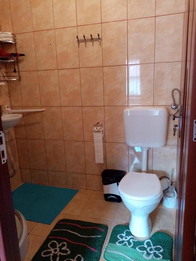 Pensiunea Oana Otel Balc Dış mekan fotoğraf