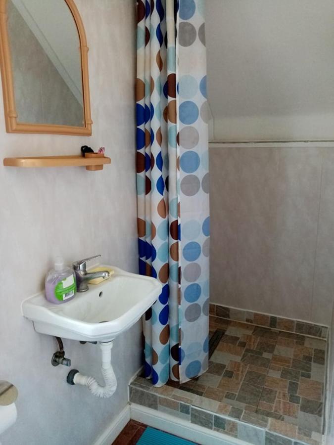 Pensiunea Oana Otel Balc Dış mekan fotoğraf