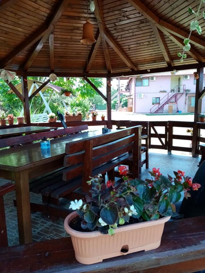 Pensiunea Oana Otel Balc Dış mekan fotoğraf
