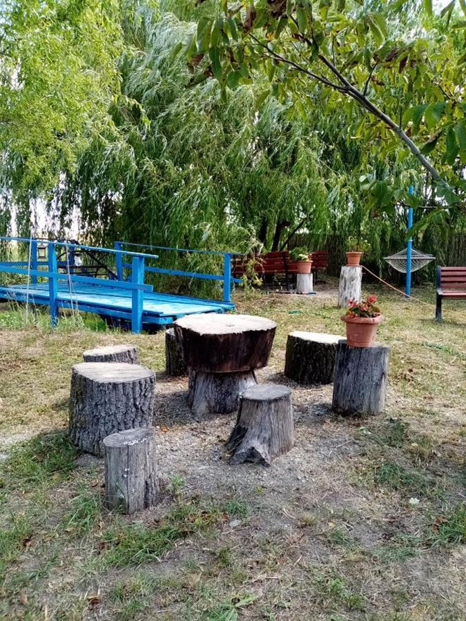 Pensiunea Oana Otel Balc Dış mekan fotoğraf