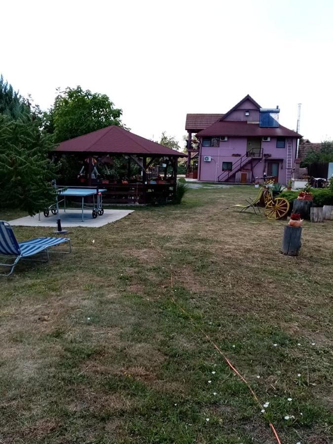 Pensiunea Oana Otel Balc Dış mekan fotoğraf