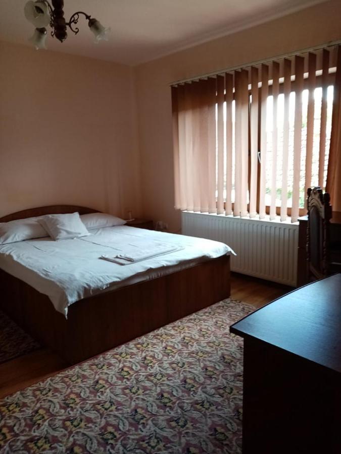 Pensiunea Oana Otel Balc Dış mekan fotoğraf