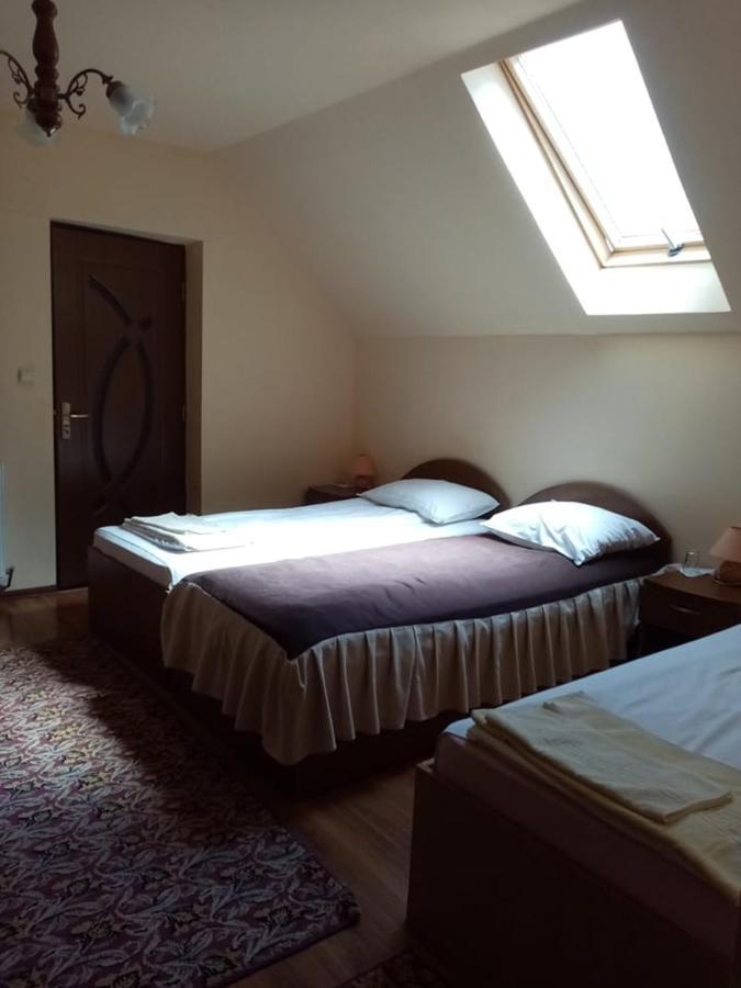Pensiunea Oana Otel Balc Dış mekan fotoğraf